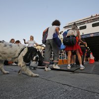 Turizam u Grčkoj 2023.