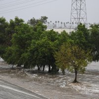 Oluja Hilary u Kaliforniji