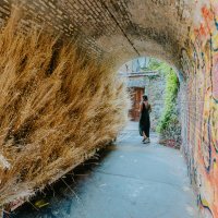 Beskrajno ljeto_Jelena Malenica