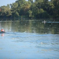Vrućine u Hrvatskoj