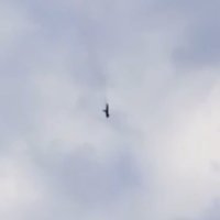 Pad Prigožinovog aviona