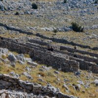 Obilježavanje tragedije na Kornatima