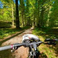 Staza Leska i kuća Runolist