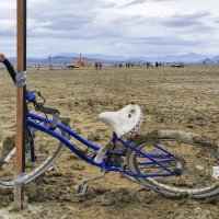Festival Burning man