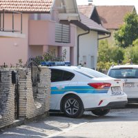 Pas ugrizao dijete u Brestju