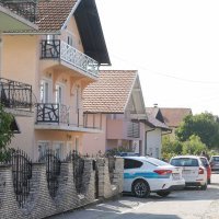 Pas ugrizao dijete u Brestju