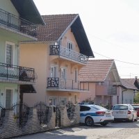 Pas ugrizao dijete u Brestju