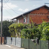 Pas ugrizao dijete u Brestju