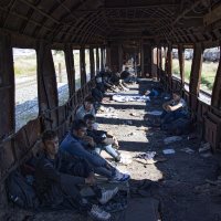 Migranti