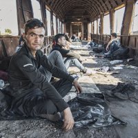 Migranti
