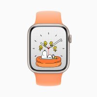 Apple Watch Series 9