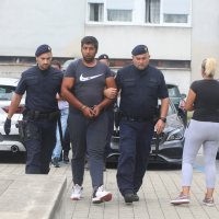 Dvojica muškaraca u Karlovcu privedena zbog premlaćivanja konja.zip