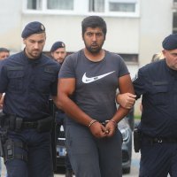 Dvojica muškaraca u Karlovcu privedena zbog premlaćivanja konja.zip