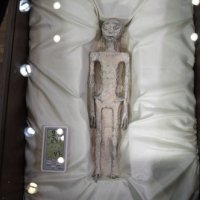 Izloženi ostaci neljudskih bića u Meksiku