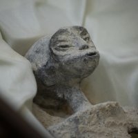 Izloženi ostaci neljudskih bića u Meksiku