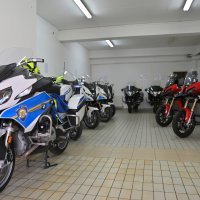 S Kobrama na autoputu