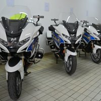 S Kobrama na autoputu