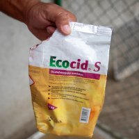 Mrtve svinje nakon eutanaziranja ostavili da leže na ulici