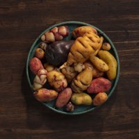 photo - Kjolle Restaurant and Gustavo Vivanco 15