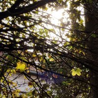 Motorola Moto G53 5G primjeri fotografija