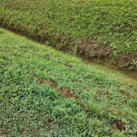 Motorola Moto G53 5G primjeri fotografija