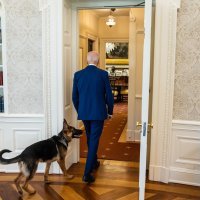 Bidenov pas Commander