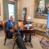 Bidenov pas Commander