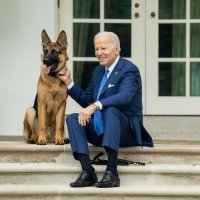 Bidenov pas Commander