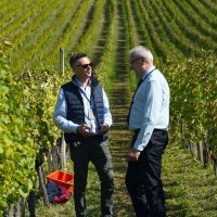 Diplomatska berba grožđa