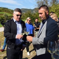 Diplomatska berba grožđa