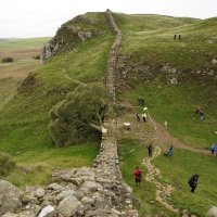 Stablo u Sycamore Gapu