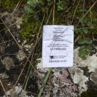 Migranti prelaze granicu preko Korane kod Slunja