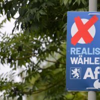 AfD
