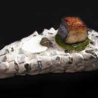 Dish Leoor Espinosa15557