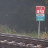 Teretni vlak naletio na osobni automobil