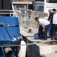 Sudar trajekta i katamarana u splitskoj trajektnoj luci