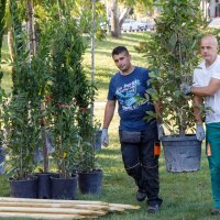 Puljak ZaZeleni Split