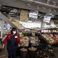 Potresi u Japanu