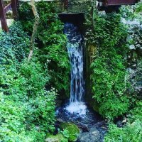 Avanturistički park Peć Mlini