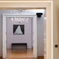 Domagoj Rogina: Vrtlog