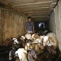 Švercerski tuneli ispod Gaze prema Egiptu