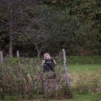 Andrej Plenković u Fojnici