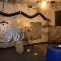Laboratorij za marihuanu u Bistri