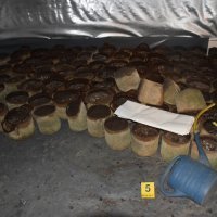 Laboratorij za marihuanu u Bistri