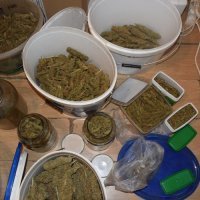 Laboratorij za marihuanu u Bistri