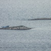 Na otočić Pijavicu nasukala se velika motorna jahta