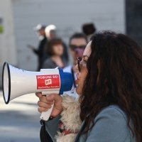 Prosvjed protiv devastacije Istre