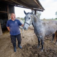 Uzgajivač konja Darko Čelik