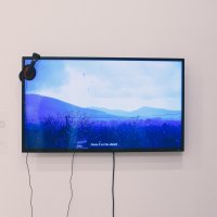 Glas divljeg oraha_Ivana Papić