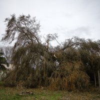 Posljedice oluje Ciaran u Francuskoj